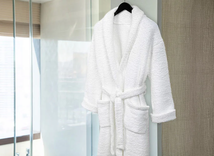 Vdara Robes