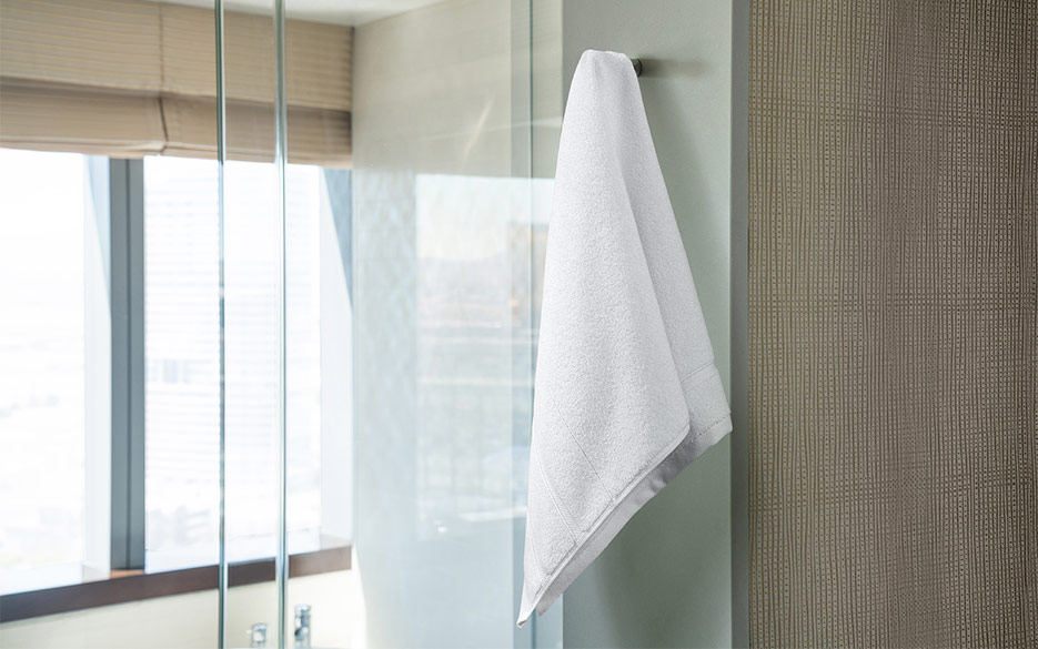 Striped Trim Hand Towel